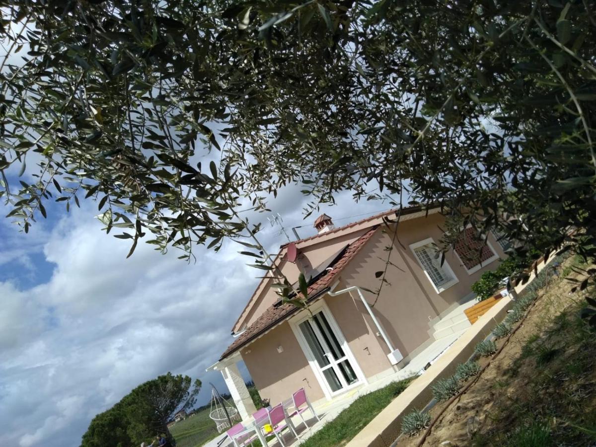 Le Mammole Bed & Breakfast San Miniato Luaran gambar