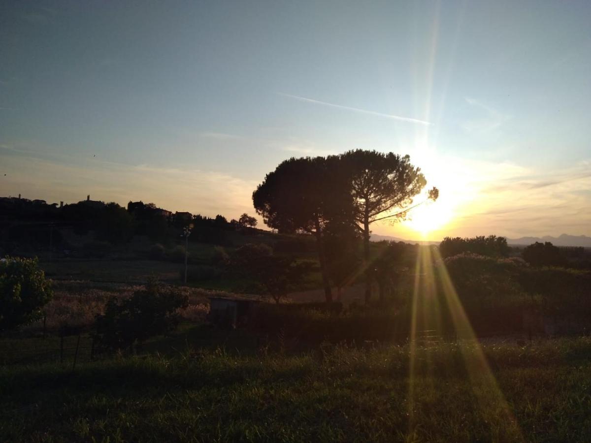 Le Mammole Bed & Breakfast San Miniato Luaran gambar